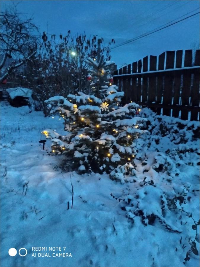 Котедж Кресаня Mykulychyn Exterior foto