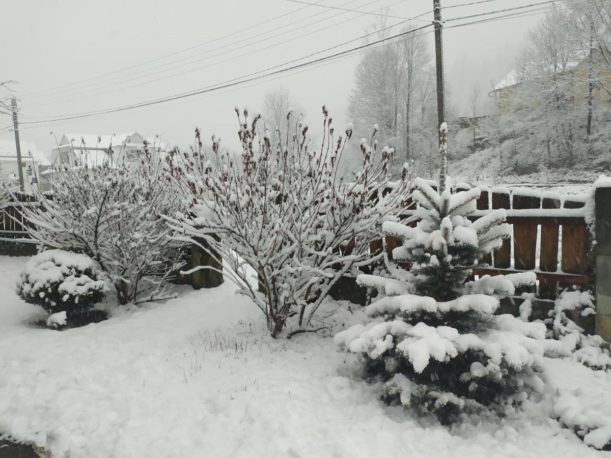Котедж Кресаня Mykulychyn Exterior foto
