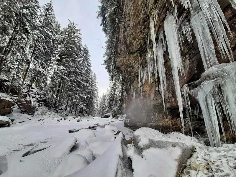 Котедж Кресаня Mykulychyn Exterior foto